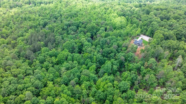 TBD Darrow Dr Unit 95, Nebo, NC 28761