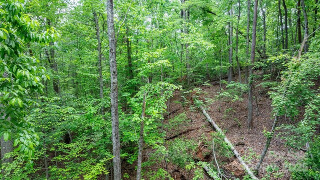 TBD Darrow Dr Unit 95, Nebo, NC 28761