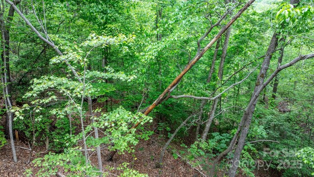 TBD Darrow Dr Unit 95, Nebo, NC 28761