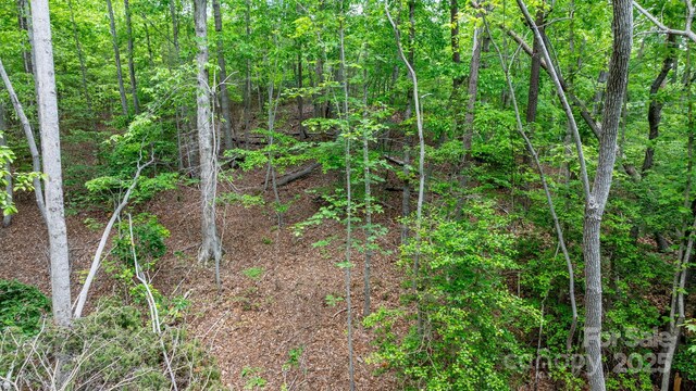 TBD Darrow Dr Unit 95, Nebo, NC 28761