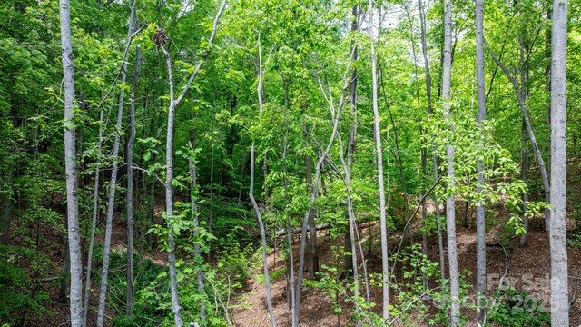 TBD Darrow Dr Unit 95, Nebo, NC 28761