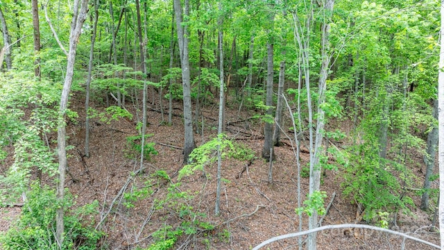 TBD Darrow Dr Unit 95, Nebo, NC 28761