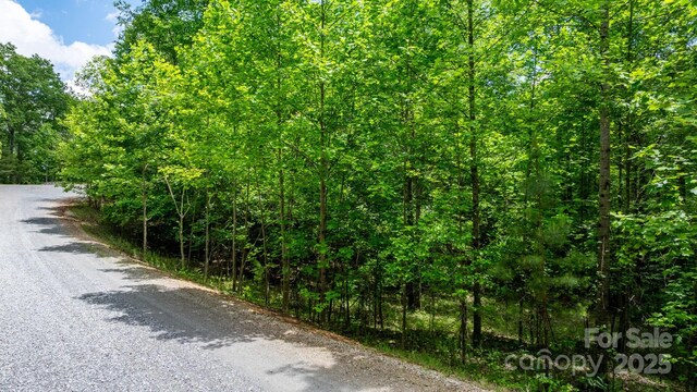 TBD Darrow Dr Unit 95, Nebo, NC 28761