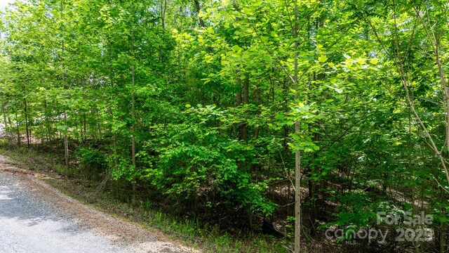 TBD Darrow Dr Unit 95, Nebo, NC 28761