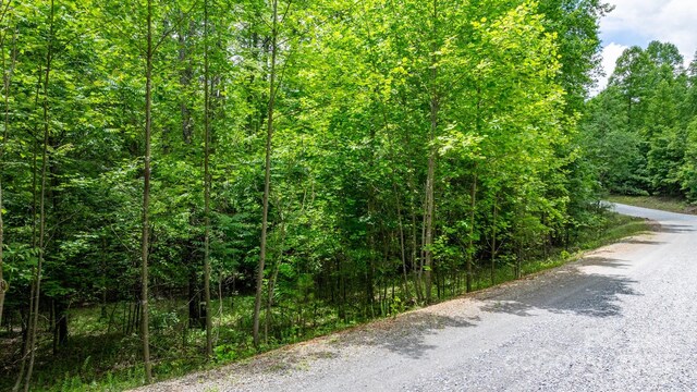 TBD Darrow Dr Unit 95, Nebo, NC 28761