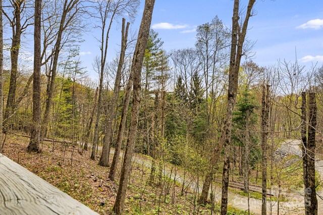 60 Laurel Ln, Mars Hill, NC 28754 - view of woods