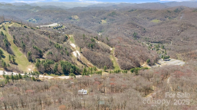 60 Laurel Ln, Mars Hill, NC 28754 - view of mountain backdrop