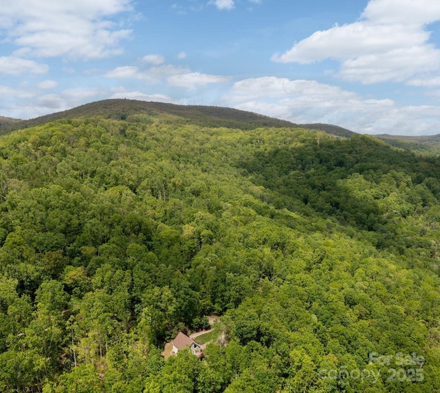 25 Licklog Ridge Rd, Fairview, NC 28730 - mountain view with a heavily wooded area