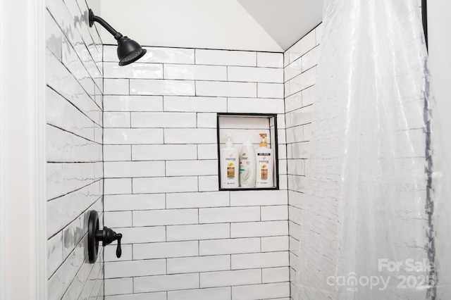 25 Licklog Ridge Rd, Fairview, NC 28730 - bathroom view of tiled shower