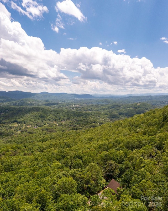 25 Licklog Ridge Rd, Fairview, NC 28730 - aerial view of a forest