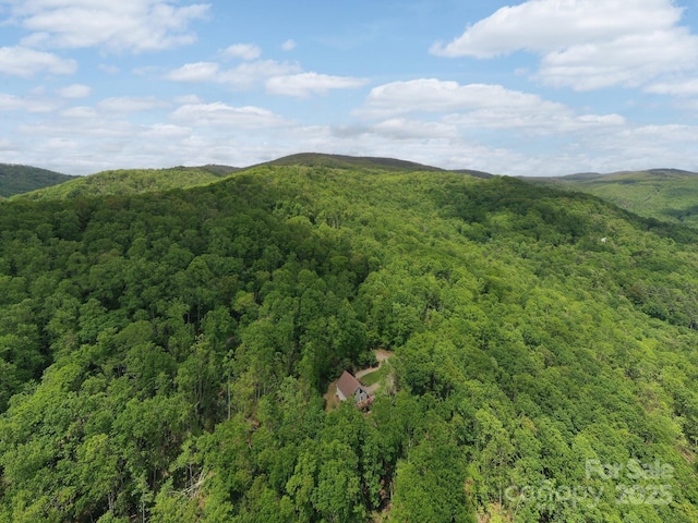 25 Licklog Ridge Rd, Fairview, NC 28730 - bird's eye view of a heavily wooded area and mountains