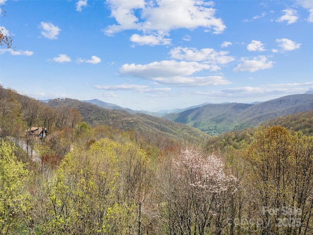 16 Sutton Knob Rd, Maggie Valley, NC 28751 - mountain view with a forest