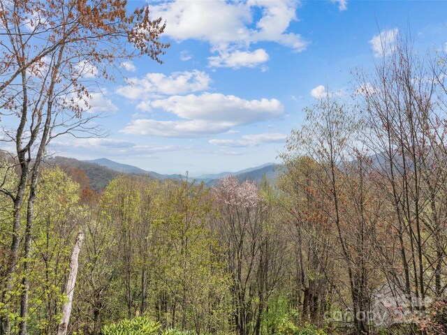 16 Sutton Knob Rd, Maggie Valley, NC 28751 - mountain view with a heavily wooded area