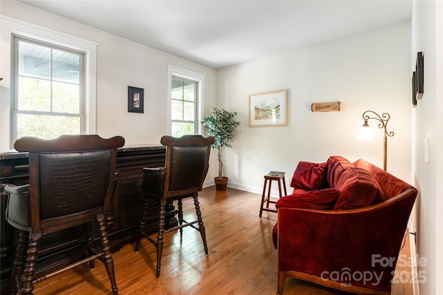 4 Yellow Owl Ct, Biltmore Lake, NC 28715 - home office featuring hardwood / wood-style floors and baseboards