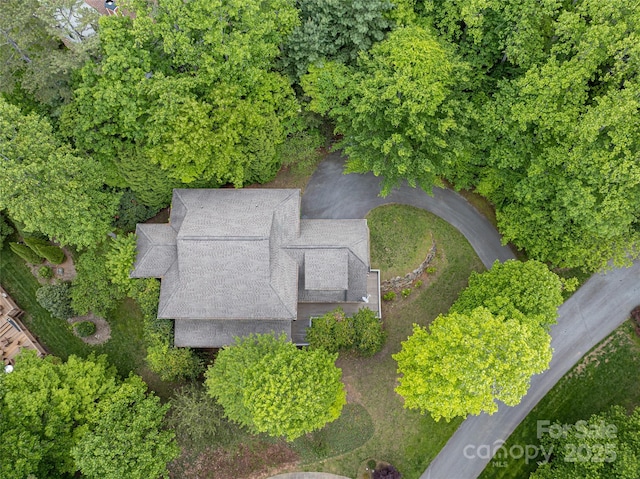 4 Yellow Owl Ct, Biltmore Lake, NC 28715 - view of subject property
