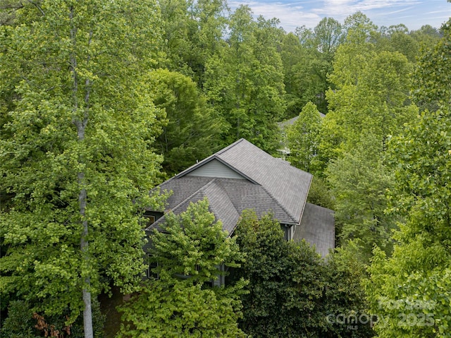 4 Yellow Owl Ct, Biltmore Lake, NC 28715 - view from above of property featuring a heavily wooded area