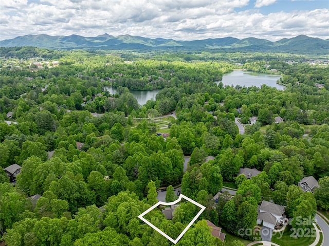 4 Yellow Owl Ct, Biltmore Lake, NC 28715 - view of property location featuring a water and mountain view, a forest, and property boundaries highlighted