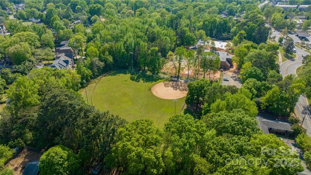 bird's eye view