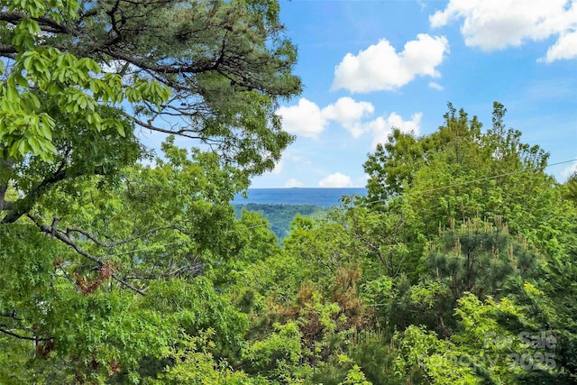 1795 Mckenzie Way N Unit 505, Old Fort, NC 28762 - water view