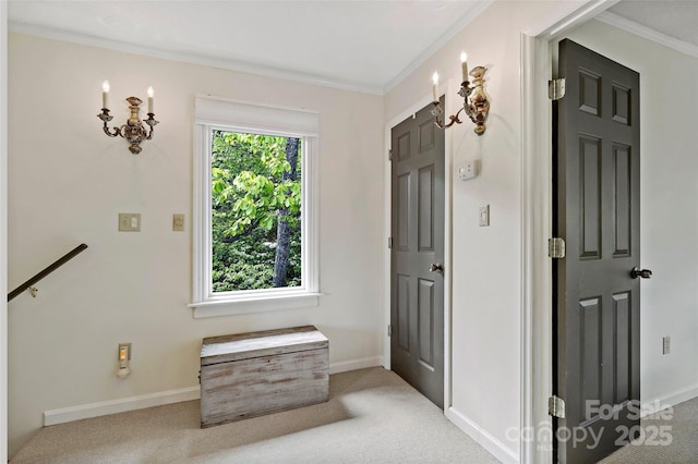 1795 Mckenzie Way N Unit 505, Old Fort, NC 28762 - hallway with carpet floors, ornamental molding, and baseboards