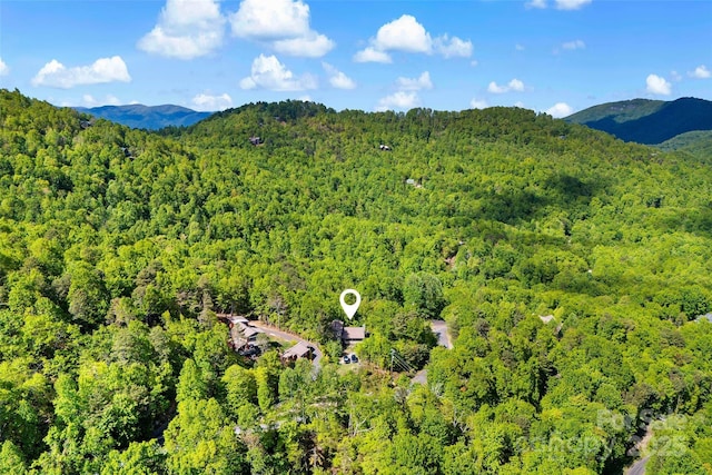 1795 Mckenzie Way N Unit 505, Old Fort, NC 28762 - aerial view of a forest and mountains