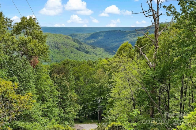 1795 Mckenzie Way N Unit 505, Old Fort, NC 28762 - view of mountain backdrop featuring a forest
