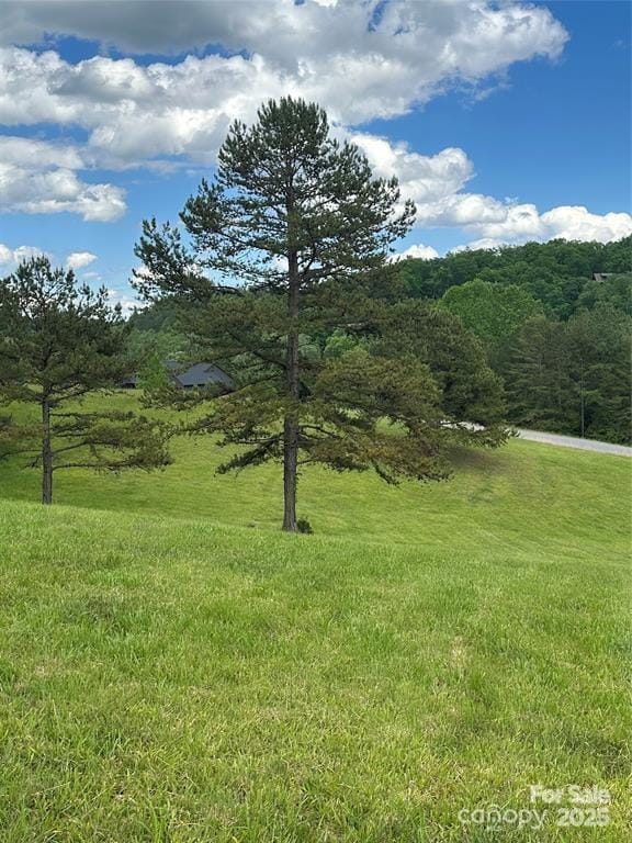 91 Meadows Station Dr Unit 50, Nebo, NC 28761 - photo 2
