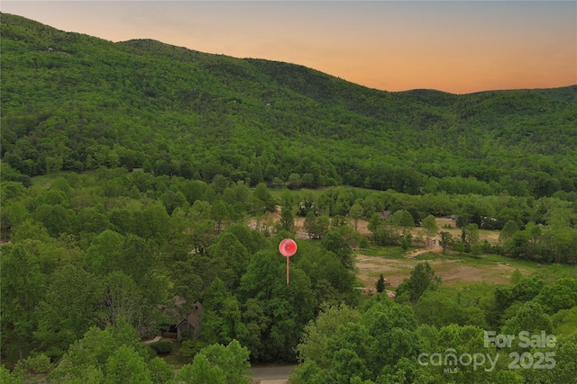 V/L Blue Ridge Dr N Unit 210, Marion, NC 28752 - photo 1