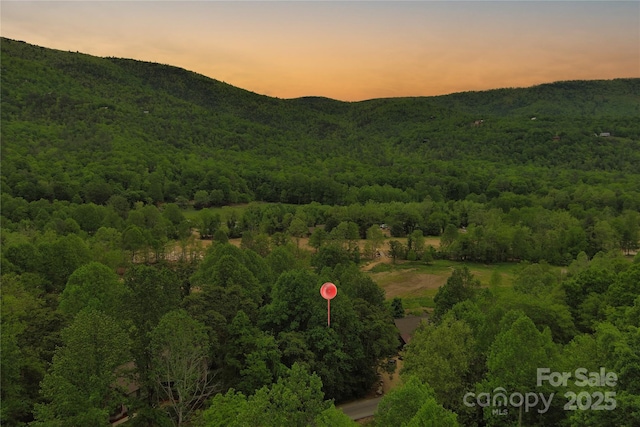 V/L Blue Ridge Dr N Unit 210, Marion, NC 28752 - photo 5