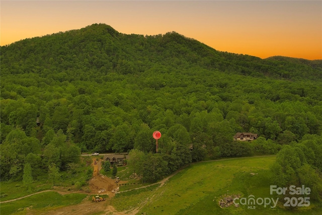 V/L Blue Ridge Dr N Unit 210, Marion, NC 28752 - photo 6