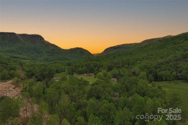 V/L Blue Ridge Dr N Unit 210, Marion, NC 28752 - photo 7