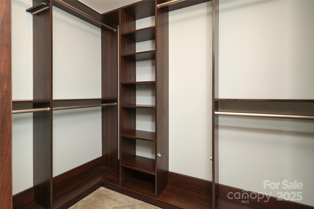1809 Evergreen Dr, Charlotte, NC 28208 - view of walk in closet