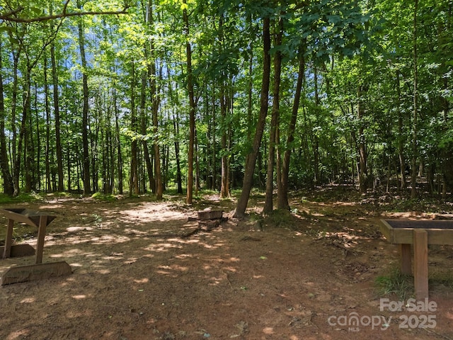 14010 Mccord Rd, Huntersville, NC 28078 - photo 43