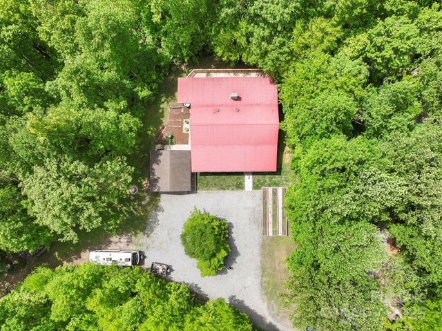 909 Pearson Falls Rd, Saluda, NC 28773 - view of subject property
