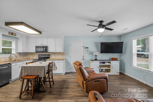 772 Austin Rd, New London, NC 28127 - kitchen featuring appliances with stainless steel finishes, a sink, white cabinetry, dark wood-style flooring, and tasteful backsplash