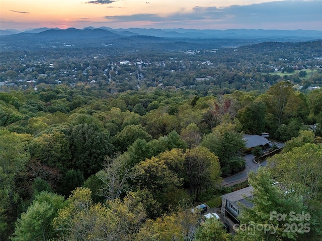 298 Town Mountain Rd, Asheville, NC 28804 - photo 46