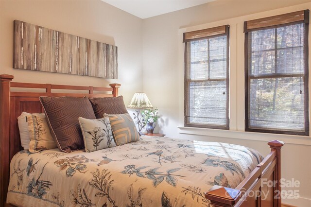 196 Juneberry Ln, Tuckasegee, NC 28783 - view of bedroom