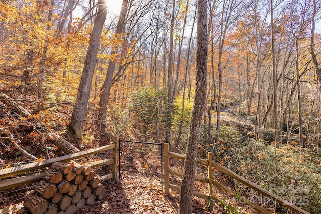196 Juneberry Ln, Tuckasegee, NC 28783 - view of local wilderness
