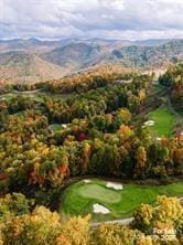 196 Juneberry Ln, Tuckasegee, NC 28783 - surrounding community featuring a mountain view