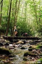 196 Juneberry Ln, Tuckasegee, NC 28783 - view of undeveloped land