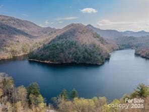 196 Juneberry Ln, Tuckasegee, NC 28783 - water view with mountains and a forest