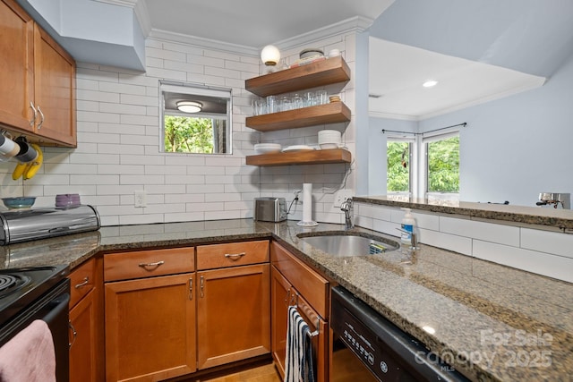 2502 Cranbrook Ln Unit 8, Charlotte, NC 28207 - kitchen featuring ornamental molding, a sink, decorative backsplash, plenty of natural light, and dark stone countertops