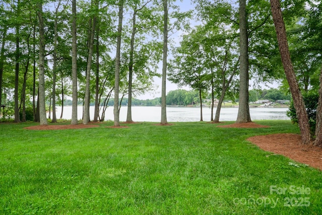 8216 Malibu Pointe Ln, Denver, NC 28037 - view of grassy yard featuring a water view