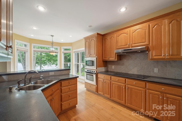 8216 Malibu Pointe Ln, Denver, NC 28037 - kitchen featuring stainless steel appliances, a sink, under cabinet range hood, light wood-type flooring, and dark countertops