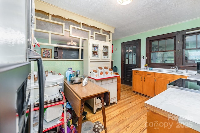 2556 Salem Church Rd, Lincolnton, NC 28092 - kitchen with light wood-type flooring, a textured ceiling, a sink, light countertops, and stainless steel range with electric stovetop