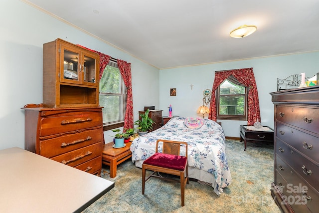 2556 Salem Church Rd, Lincolnton, NC 28092 - bedroom with crown molding and carpet flooring