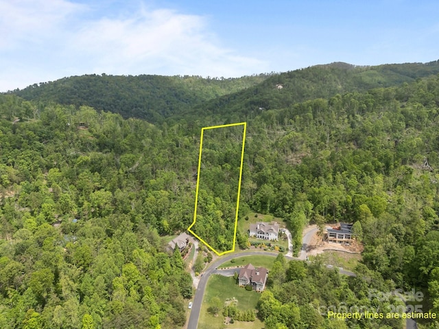 46 Hawtree Ct Unit 255, Weaverville, NC 28787