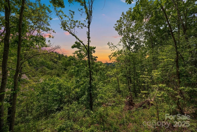 46 Hawtree Ct Unit 255, Weaverville, NC 28787