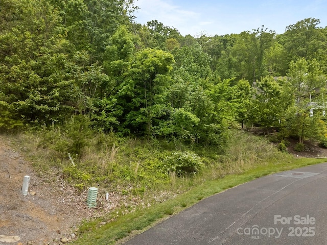 46 Hawtree Ct Unit 255, Weaverville, NC 28787
