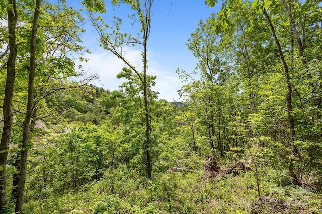 46 Hawtree Ct Unit 255, Weaverville, NC 28787